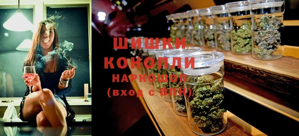 МДПВ Краснослободск