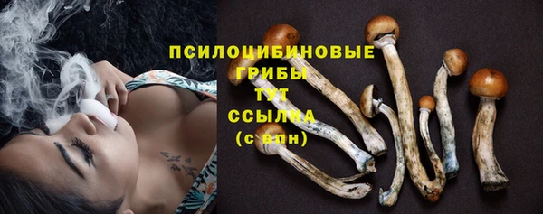 дмт Семёнов