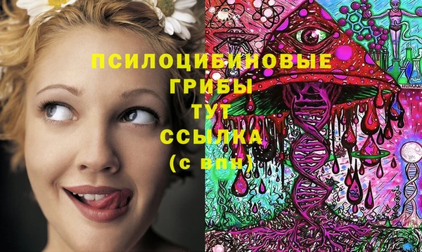 ПСИЛОЦИБИНОВЫЕ ГРИБЫ Майский